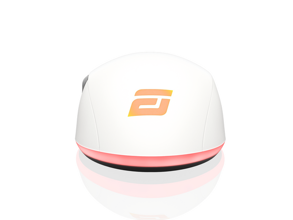 Souris de jeu Endgame Gear XM1 RGB, pour droitier, USB Type-A, optique, 16 000 DPI