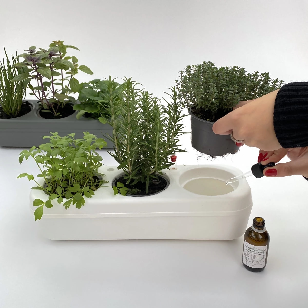 Kit potager urbain semi-hydroponique triple - blanc