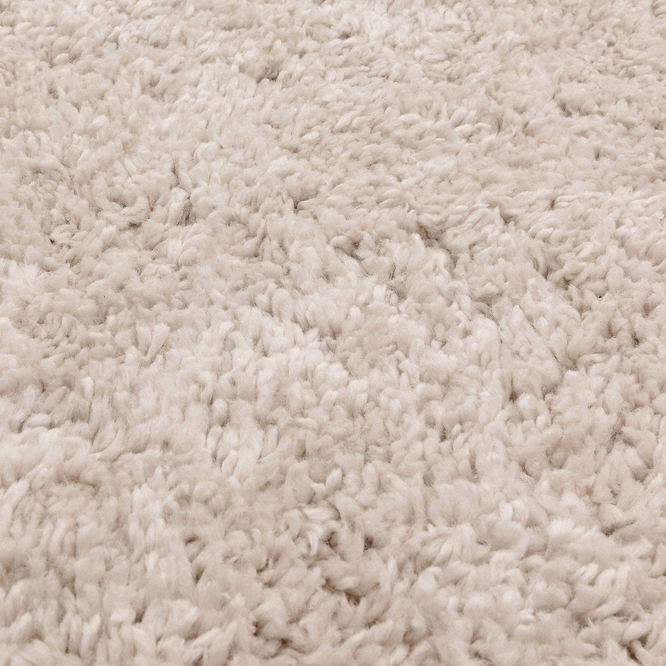 Tapis de salon design et shaggy richy
