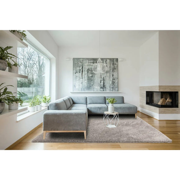 Tapis de salon design et shaggy richy