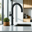 Rubinetto Lavello Nero con Filtro Acqua | Beccuccio Mobile, Design Moderno e Risparmio Idrico-2