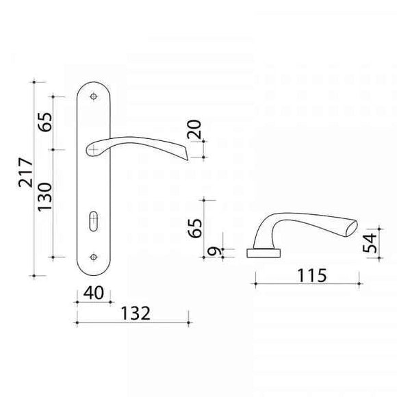 2 poignées de porte sur plaque RHAPSODIE, Sans trou pour pièce à vivre, Finition zamak nickel mat, Entraxe standard 195 mm