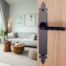 2 poignées de porte sur plaque NANTUA, Sans trou pour pièce à vivre, Finition aluminium noir, Entraxe standard 195 mm