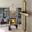 2 poignées de porte sur plaque VINTAGE, Sans trou pour pièce à vivre, Finition laiton brut laqué mat, Entraxe stand 195 mm