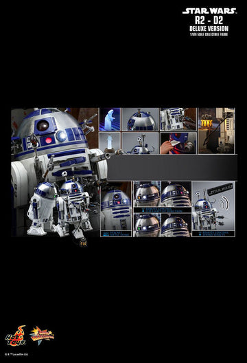 Product Image-1