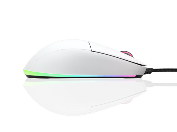 Souris de jeu endgame gear xm1 rgb pour droitier usb type-a optique 16 000 dpi