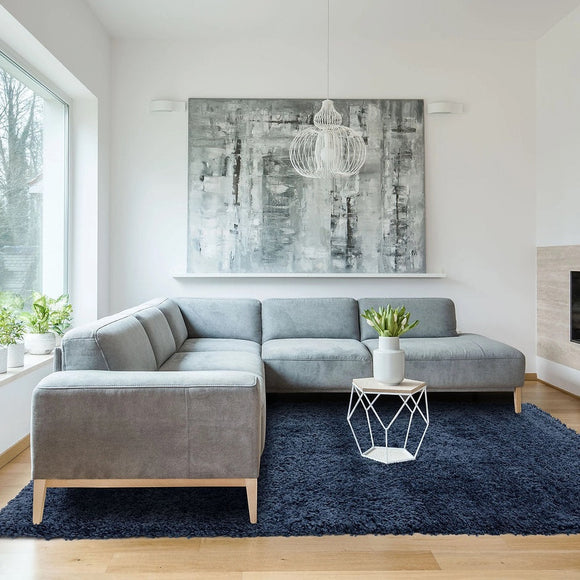 Tapis de salon design et shaggy richy