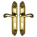 2 poignées de porte sur plaque LOUIS XV, Trou de cylindre - entrée - bureau, Finition zamak doré patiné, Entraxe standard 195 mm