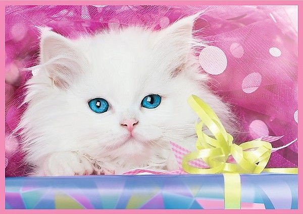 Puzzle trefl 4 en 1 chatons