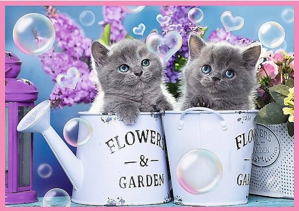 Puzzle TREFL 4 en 1 Chatons