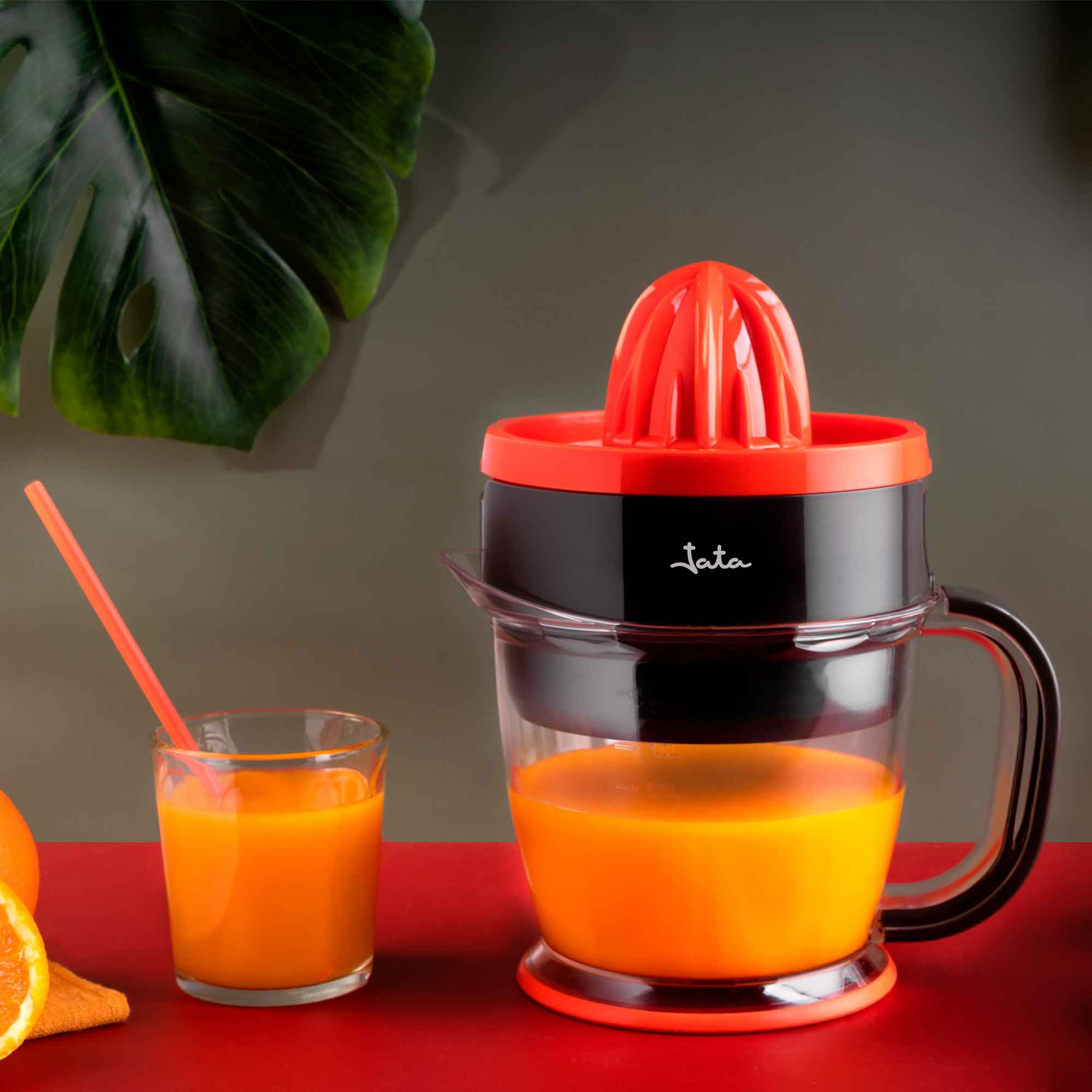Product Image-12