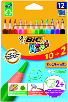 Crayons de couleur bic evolution triangle 12 couleurs 8871462