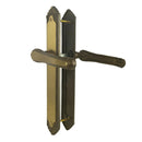 2 poignées de porte sur plaque ISABELLA, Sans trou pour pièce à vivre, Finition laiton patiné, Entraxe standard 195 mm-4
