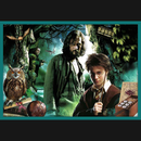 TREFL HARRY POTTER Puzzle 10 en 1