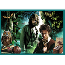 TREFL HARRY POTTER Puzzle 10 en 1