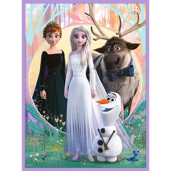 Coffret de puzzle TREFL FROZEN avec cartes mémo Frozen II