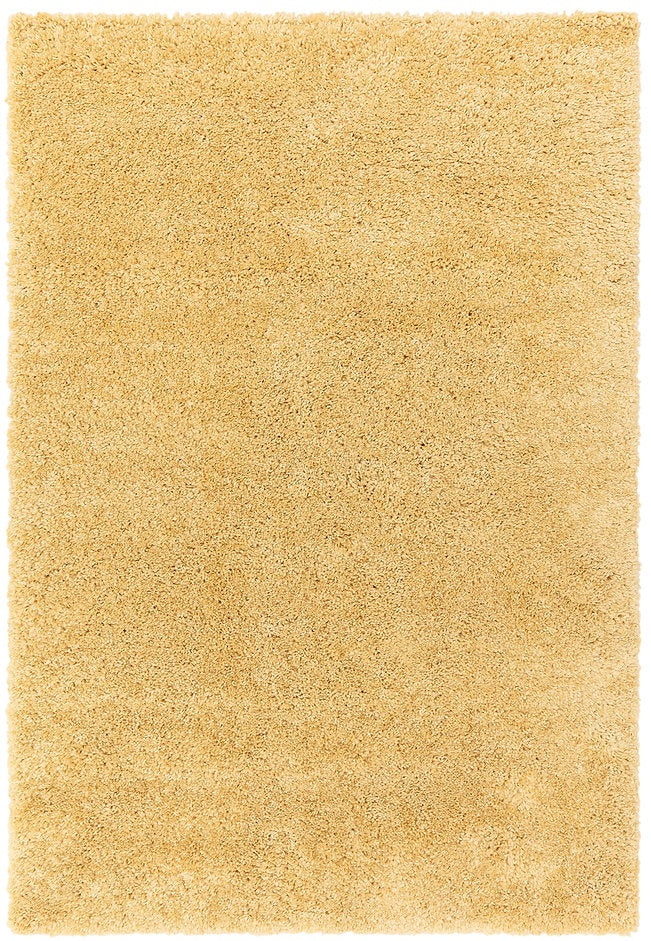 Tapis de salon design et shaggy richy