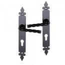 2 poignées de porte sur plaque NANTUA, Trou de cylindre - entrée - bureau, Finition aluminium noir, Entraxe standard 195 mm-3