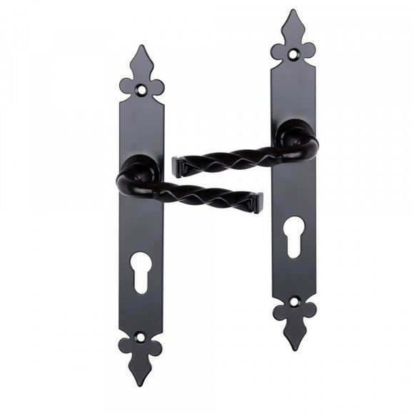2 poignées de porte sur plaque NANTUA, Trou de cylindre - entrée - bureau, Finition aluminium noir, Entraxe standard 195 mm