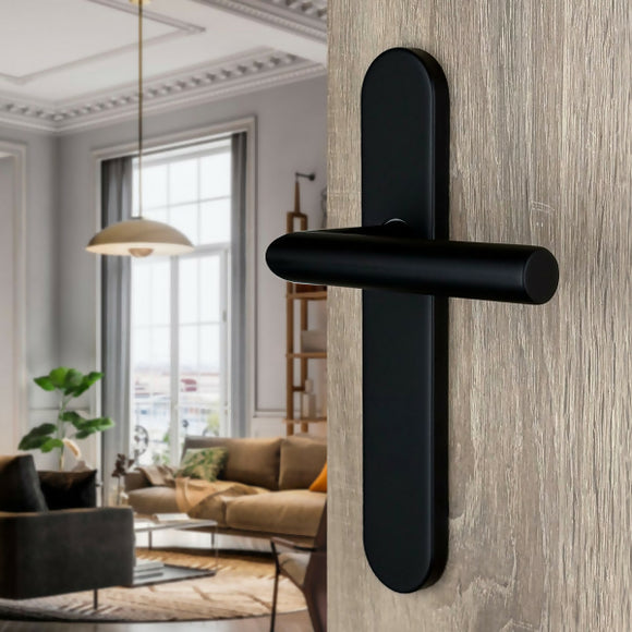 2 poignées de porte universelles Dualfit sur plaque ronde BRUNELLA, Sans trou pour pièce à vivre, Finition Acier noir mat bi-entraxe 165-195