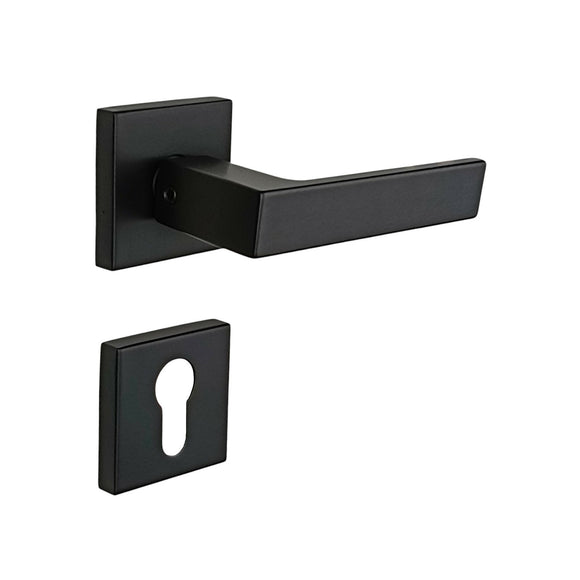 2 poignées de porte sur rosace LOFT, Trou de cylindre - entrée - bureau - service, Finition métal noir mat