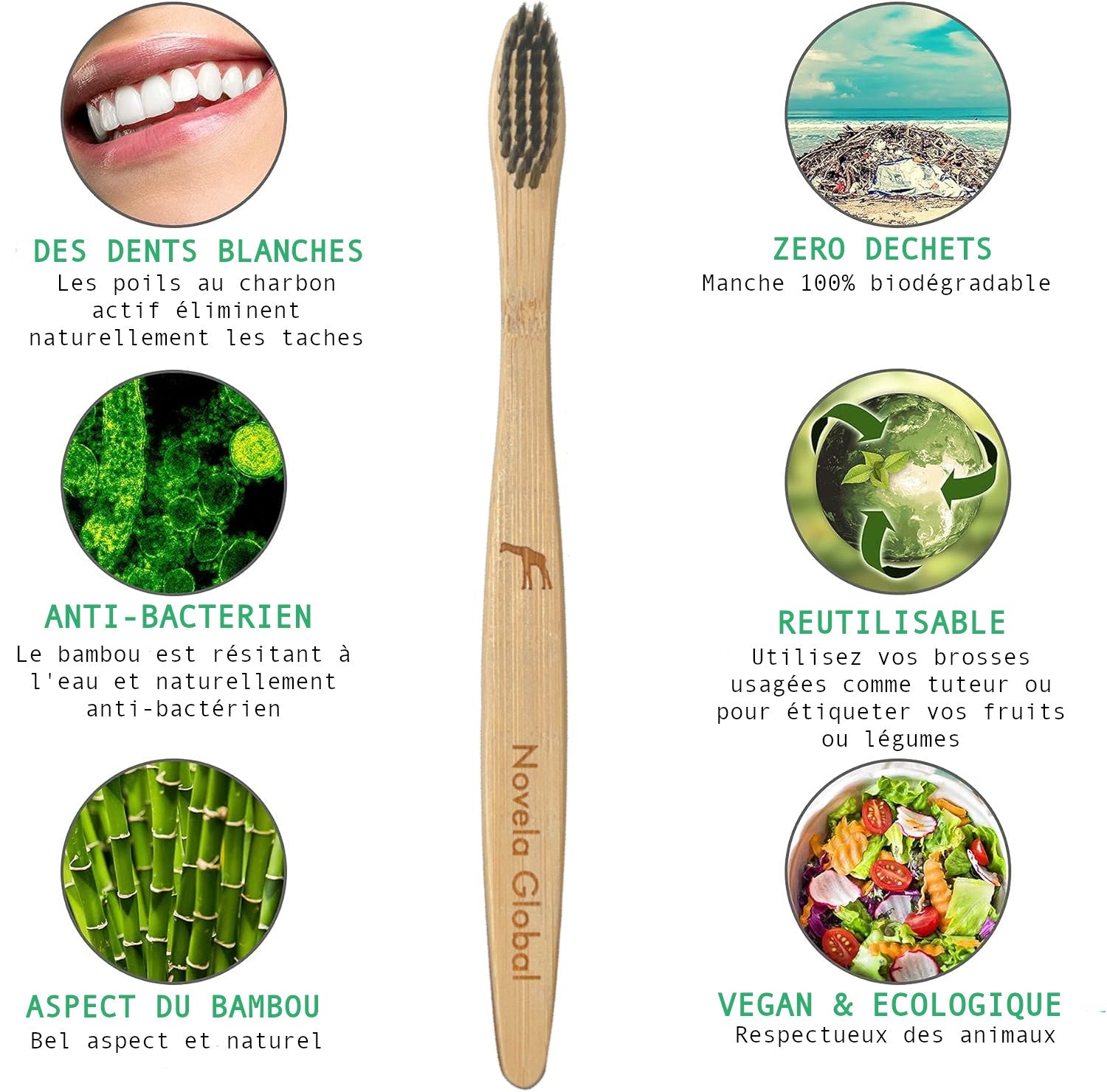 Brosses à dents Jungle en bambou naturel poils souples
