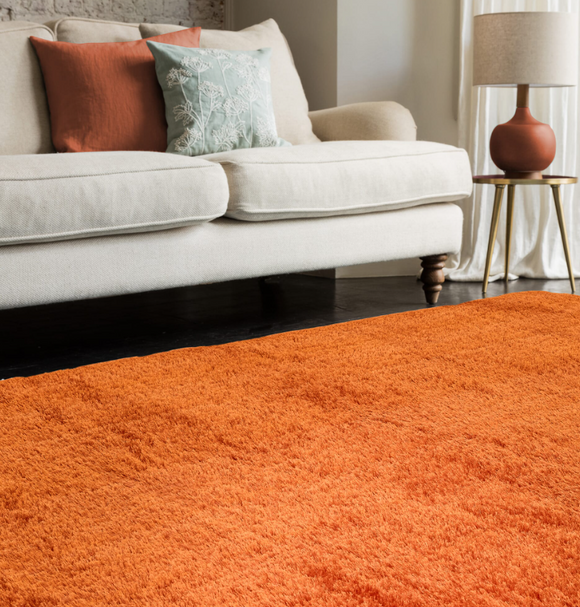 Tapis de salon shaggy PYTHON