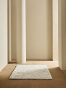 Tapis de salon et chambre shaggy LADA-3