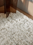 Tapis de salon et chambre shaggy LADA-4