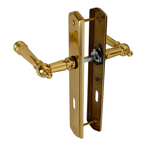 2 poignées de porte ATTILA, Entrée de clé pour chambre, Finition laiton poli doré, Entraxe standard 195 mm