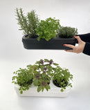 Kit potager urbain semi-hydroponique triple - noir