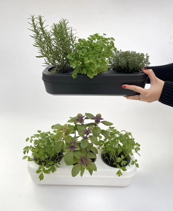 Kit potager urbain semi-hydroponique triple - noir