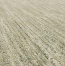 Tapis de salon et chambre moderne MURKY