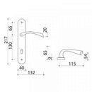 2 poignées de porte sur plaque RHAPSODIE, Trou de cylindre - entrée - bureau - service, Finition zamak nickel mat, Entraxe standard 195 mm