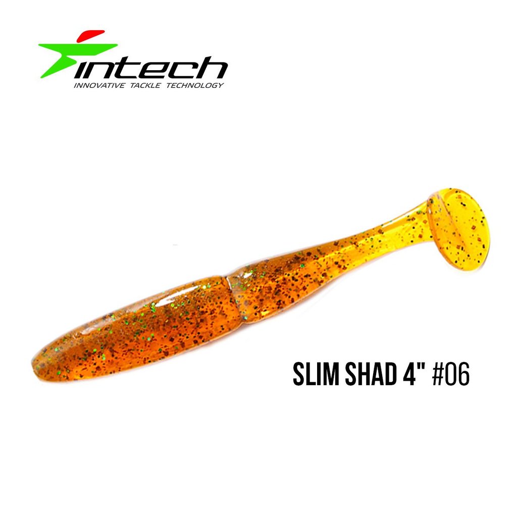 Canne à pêche intech slim shad 4 06