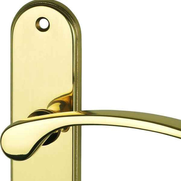 2 poignées de porte sur plaque EVA, Trou de cylindre - entrée - bureau - service, Finition laiton poli, Entraxe 165 mm