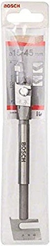 Retour client Ecost Bosch Accessories 2608596333 Mèche plate réglable hexagonale 15 45 mm, 120 mm