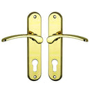 2 poignées de porte sur plaque EVA, Trou de cylindre - entrée - bureau - service, Finition laiton poli, Entraxe 165 mm