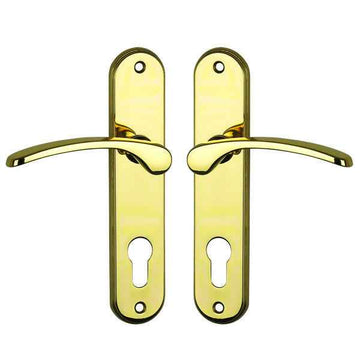 2 poignées de porte sur plaque EVA, Trou de cylindre - entrée - bureau - service, Finition laiton poli, Entraxe 165 mm