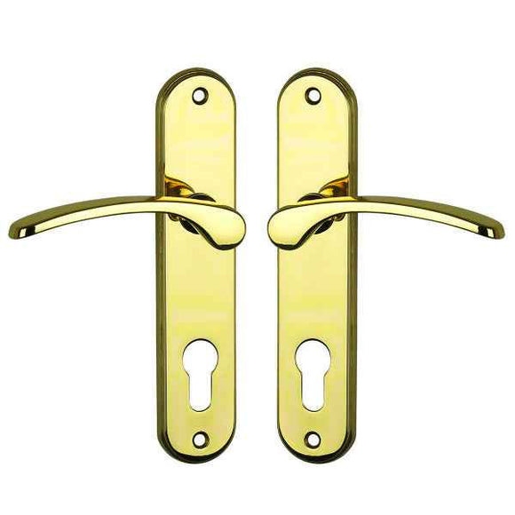 2 poignées de porte sur plaque EVA, Trou de cylindre - entrée - bureau - service, Finition laiton poli, Entraxe 165 mm