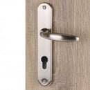 2 poignées de porte sur plaque CHAMBON, Trou de cylindre - entrée - bureau - service, Finition aluminium nickel mat, Entraxe standard 195 mm