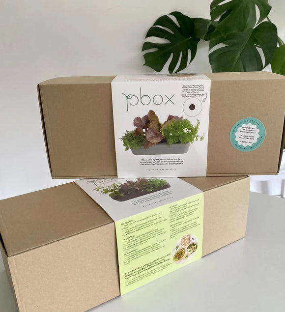 Kit potager urbain semi-hydroponique triple - gris