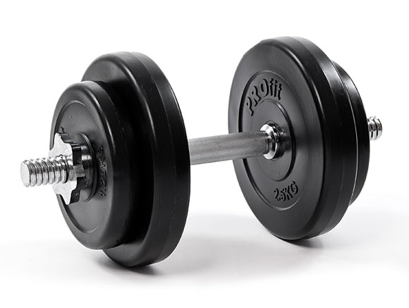 Hantelis Profit DK 4153 10KG