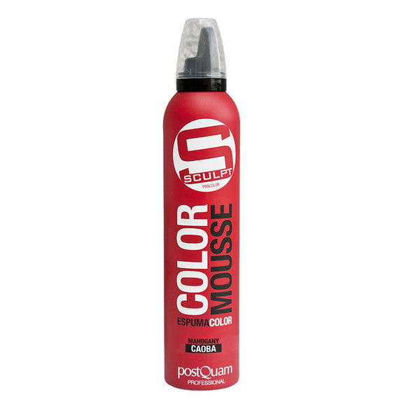 Mousse couleur acajou 300 ml. - Clicktofournisseur.com