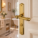 2 poignées de porte ATTILA, Verrou de condamnation pour salles de bain/WC, Finition laiton poli doré, Entraxe standard 195 mm