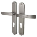 2 poignées de porte sur plaque AUDACE, Trou de cylindre - entrée - bureau, Finition aluminium nickel mat, Entraxe standard 195 mm