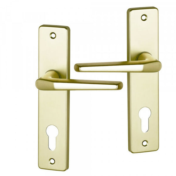 2 poignées de porte sur plaque CHAMONIX, Trou de cylindre - entrée - bureau - service, Finition aluminium anodisé F2 doré, Entraxe 165 mm