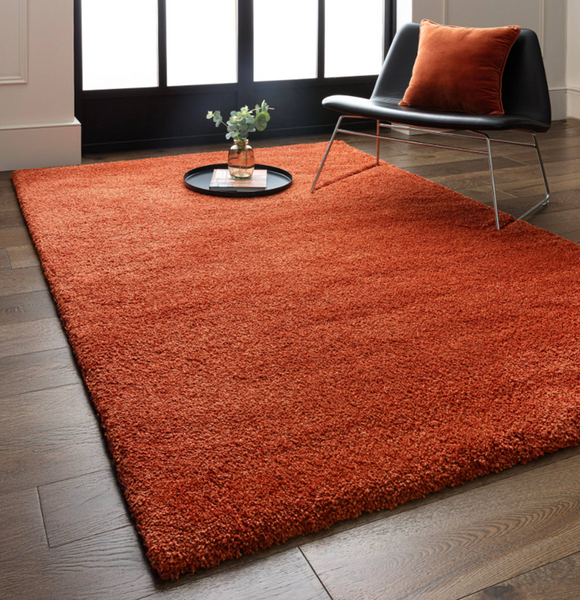Tapis de salon et chambre poils longs MAPY