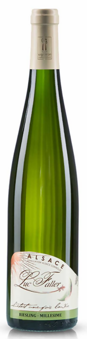 Riesling Fronholz 2021