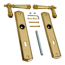 2 poignées de porte ATTILA, Entrée de clé pour chambre, Finition laiton poli doré, Entraxe standard 195 mm